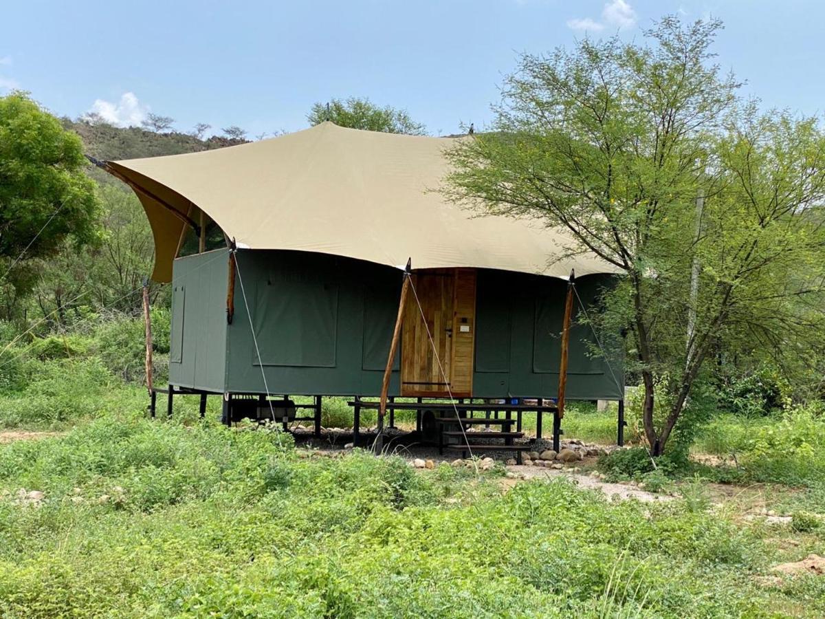 Trees N Tigers Luxury Wildlife Lodge Akbarpur  Exteriör bild